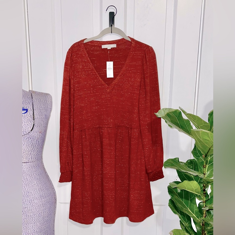 NWT Loft Long Sleeve Dress
